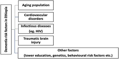 The need for a tailored national dementia plan in Ethiopia: A call for action